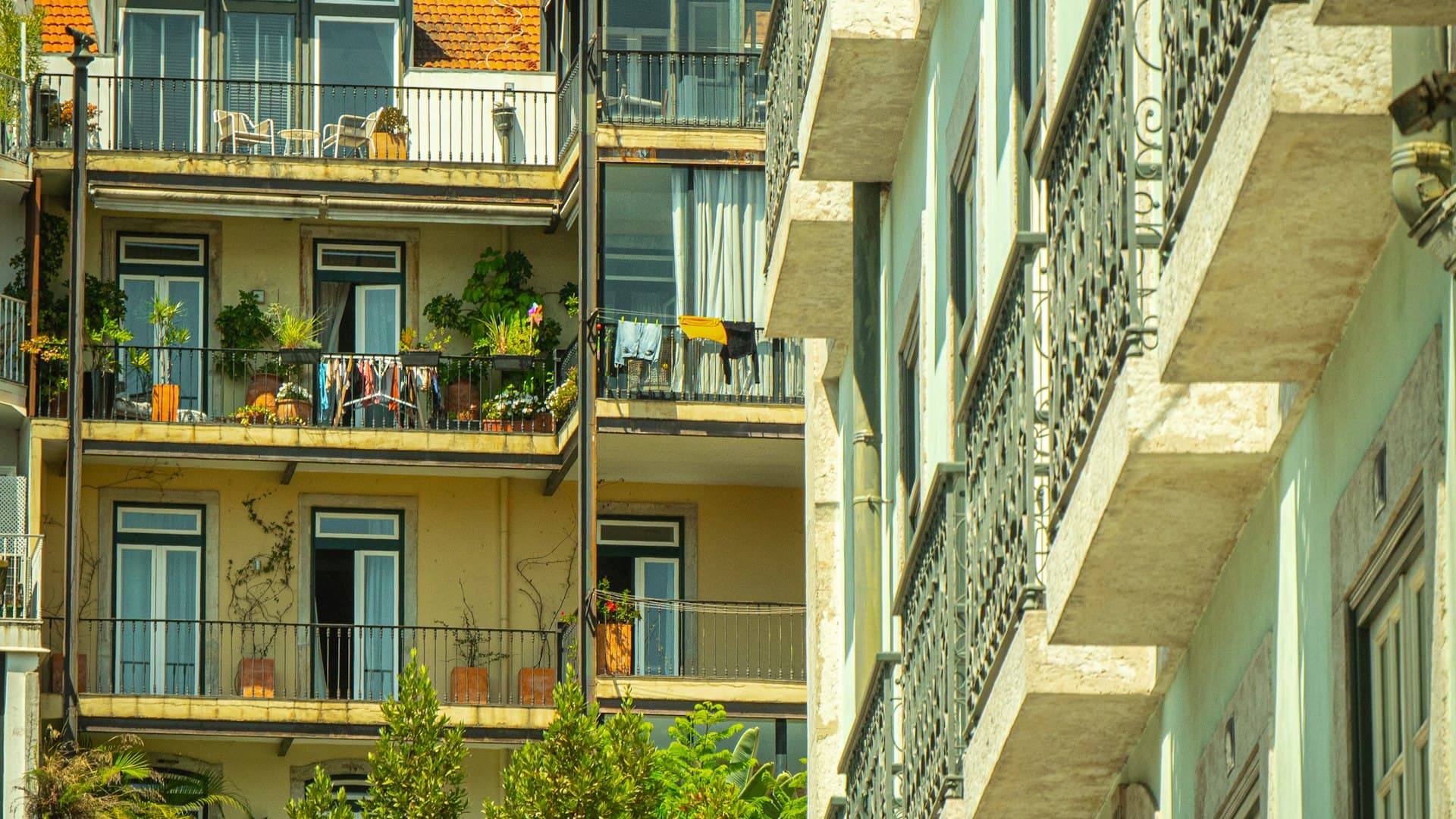 Real Estate & Investment