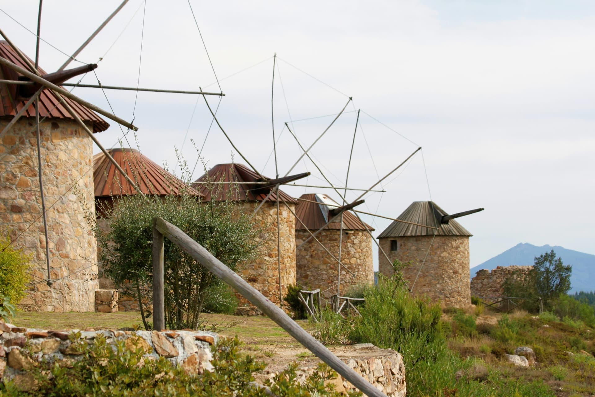 Property Search Basic